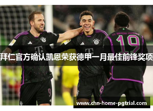 拜仁官方确认凯恩荣获德甲一月最佳前锋奖项