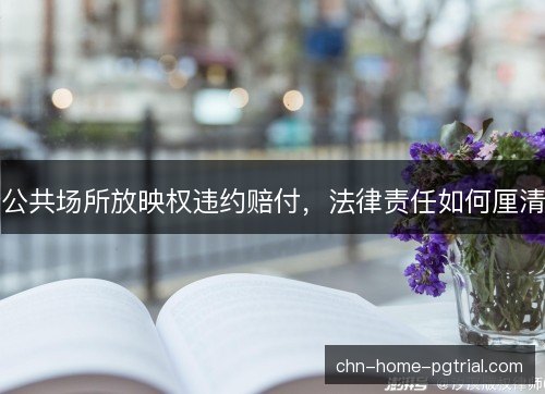 公共场所放映权违约赔付，法律责任如何厘清